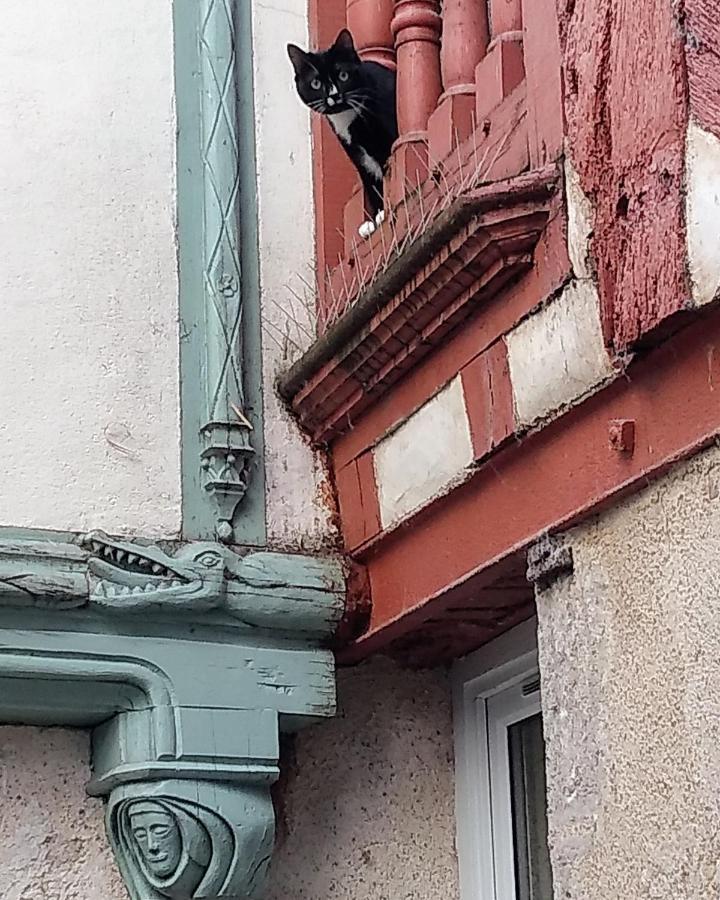 Apartament Passage Du Cygne Blois Zewnętrze zdjęcie